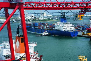 香港倉(cāng)儲(chǔ)服務(wù)