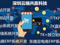 東南亞本地電商erp系統