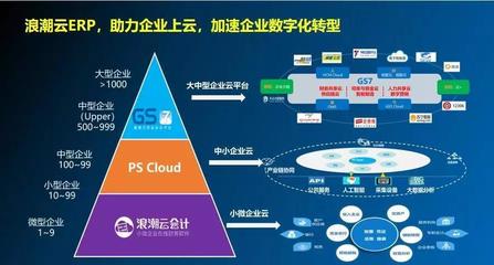 高端ERP市場迎云化浪潮,國內玩家逆襲的機會來了?
