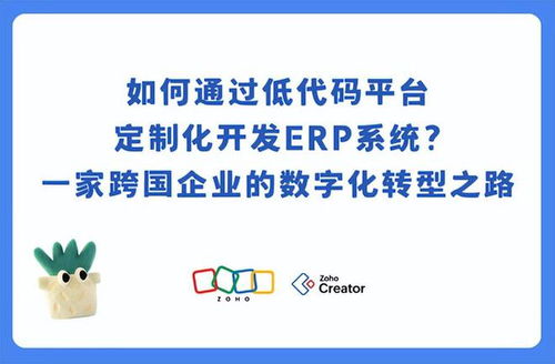 跨國企業如何用低代碼平臺開發erp系統
